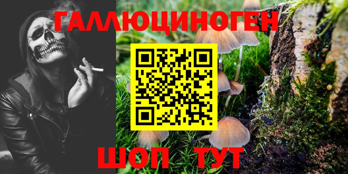 Псилоцибиновые грибы Cubensis  Вход с VPN  Улан-Удэ 